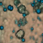 Cancer Targeted Treatments from Space Station Discoveries (NASA, International Space Station, 02/26/14)